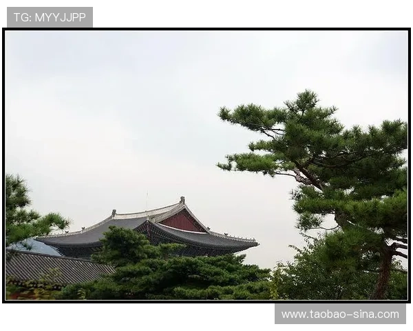 如何快速找到BG大游真人登录线路，享受高效安全的在线娱乐服务